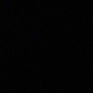 Meet your Posher, Gracie